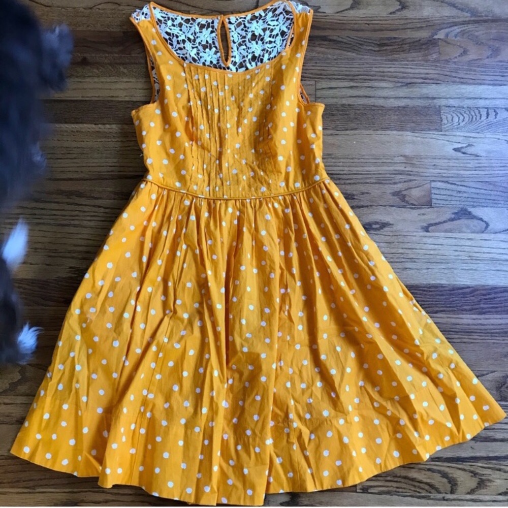 Anthropologie Polka Dot Dress with Lace Detail